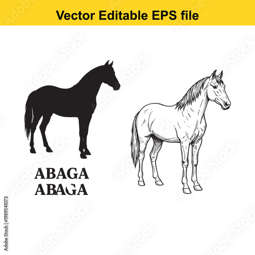 Vector art of a horse, one black silhouette and one detailed line drawing, isolated on a