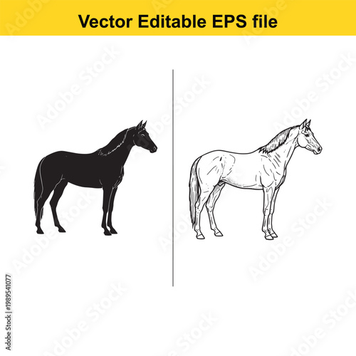 Vector art of silhouette and sketch of a horse
