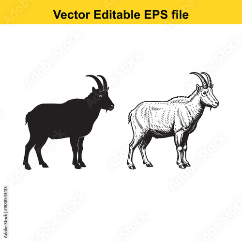 Vector art of two goats, one black silhouette and one detailed sketch