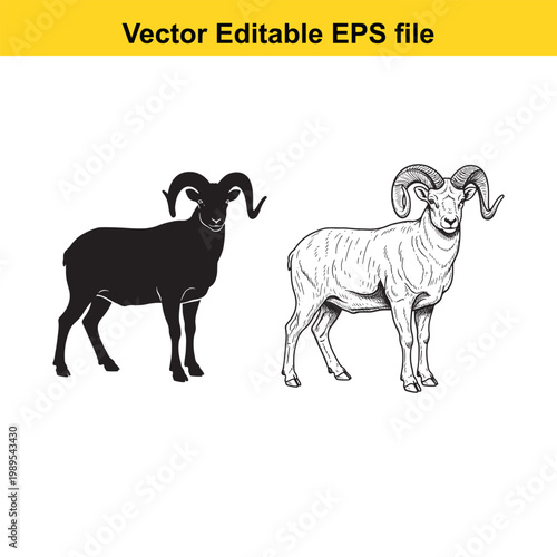 Vector art of two illustrations of a moose, one in silhouette and one detailed