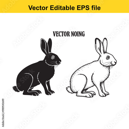 Vector art of two rabbits, one black silhouette and one detailed sketch