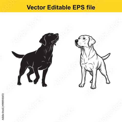 Vector art of two labrador dogs, one black silhouette and one detailed sketch