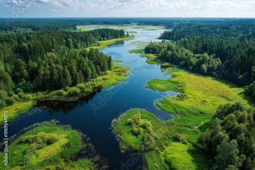 Aerial riverine wetland corridor through mixed forest with winding blue water channels and bright green marsh islands under clear skies