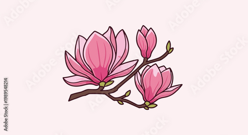 Pink magnolia blossoms with buds on a branch against a pale pink background