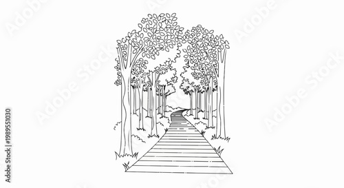 A drawing of a wooden walkway winding through a forest