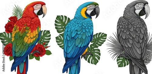 Colorful Macaw Parrot Set with Tropical Leaves and Flowers Detailed Exotic Bird Illustration Isolated on White Background Vector Collection
