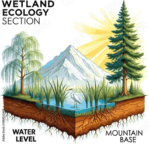 Create a realistic Architectural Drawings, cad tree line drawing, Side view, set of section wetland forest, nature mountain vector art color with white background..