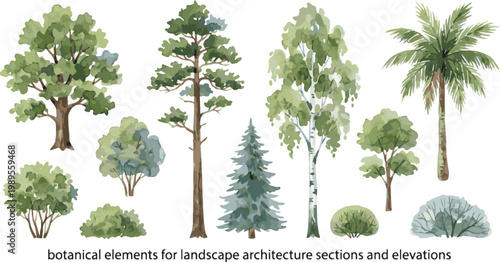 Generate a kinds of deferent Watercolor tree vector in side view painting botanical for section and elevation landscape plan and architecture layout drawing, elements for environment vector art .