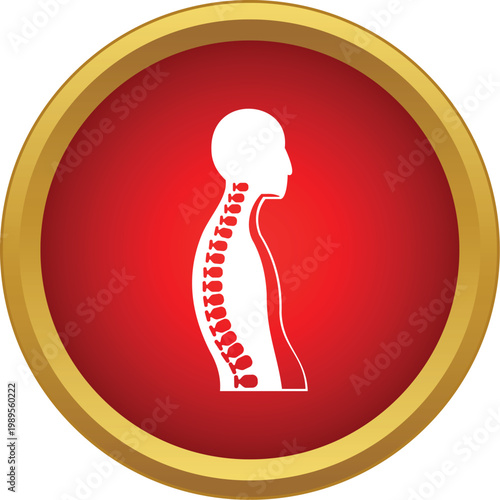 Human torso silhouette indicating a medical spinal condition