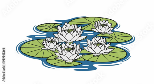 A tranquil pond adorned with blooming white water lilies and verdant lily pads