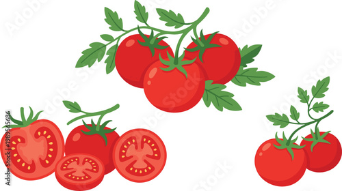 Fresh Tomato Illustration Set with Whole, Slice and Vine Tomatoes in Natural Style for Organic Food Design, Healthy Nutrition and Farm Produce Graphics