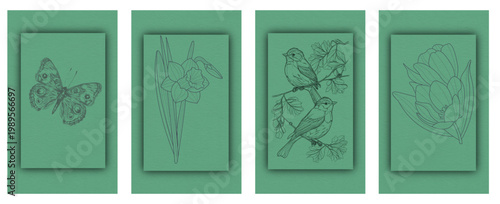 butterfly life cycle metamorphosis stages flat design vector illustration