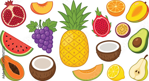 Large Collection of Tropical and Exotic Fruit Vector Illustrations Including Pineapple, Watermelon, Coconut, Pomegranate, Grapes, and Dragon Fruit for Healthy Food Design Projects