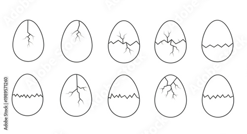 Stages of an egg hatching sequence illustration.