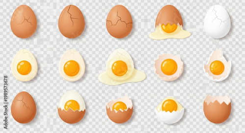 Collection of Various Chicken Eggs and Cooked Egg Preparations.