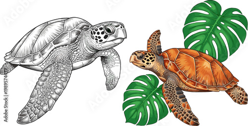 Sea Turtle Illustration Set with Detailed Marine Reptiles Swimming and Tropical Leaves Ocean Wildlife Isolated Vector Collection