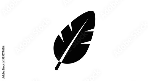 Vector illustration of black feather icon, simple style on a transparent background