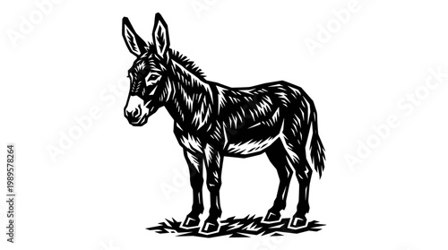 Vector Pinocut A detailed illustration of a donkey standing proudly in a field.