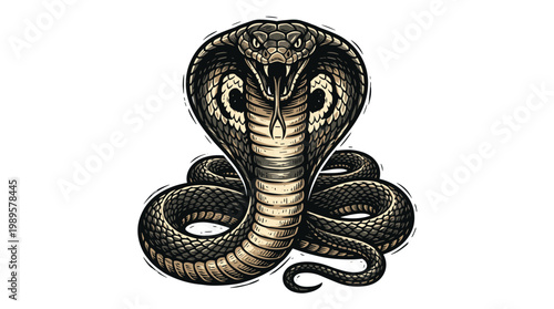 Vector Pinocut A close up illustration of a cobra snake, showcasing its striking features and intricate details.