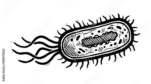 Vector Pinocut Illustration of a microscopic bacterium, depicted in a detailed artistic style. 