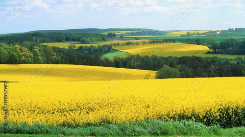 Foto Agriculture en Champagne Ardenne dans la région Grand Est, paysage de champs de