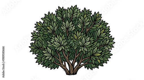 Vector Pinocut A green bush with leafy branches