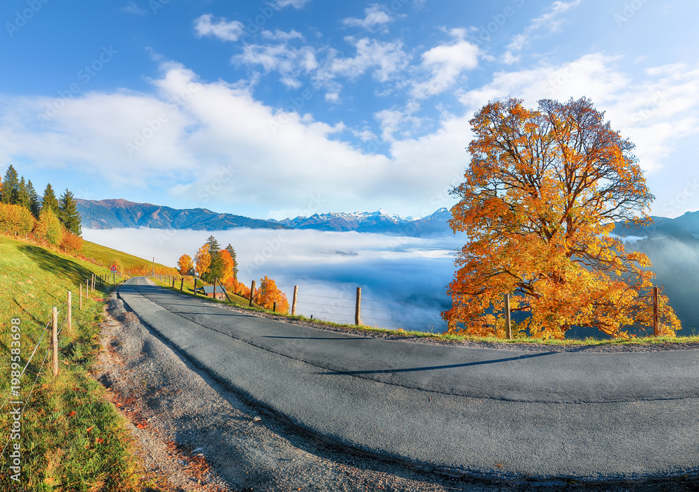 Naklejka premium Incredible view of the meadows and mountains around Zell lake or Zeller See