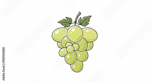 A cartoon bunch of pale green grapes with two leaves and a stem