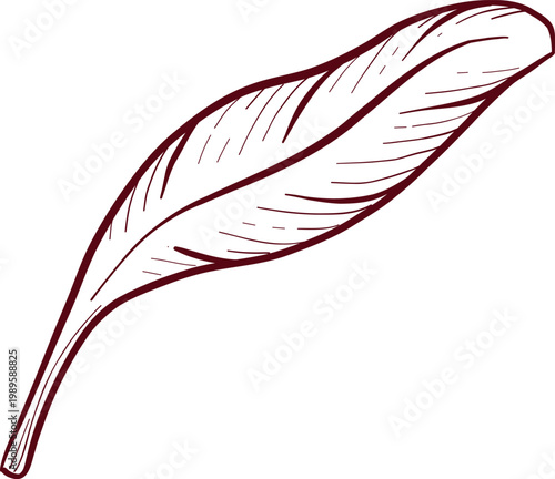 Detailed black and white engraving style drawing of eucalyptus and wildflowers, showcasing detailed stems, leaves, and flower structures. Frames and decorative elements for invitations and packaging