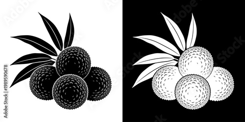 Black and white tropical lychee fruit illustration with leaves