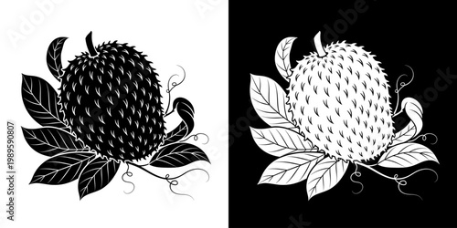 Monochrome Soursop Fruit Icon Design Illustrating Duality and Contrast in Graphic Art