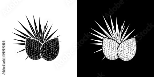 Illustration of a snakefruit with leaves