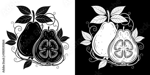 Illustration of a halved pear with leaves