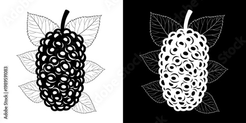 Monochromatic Mulberry Berry Illustration - Dual Tone Graphic Design Element