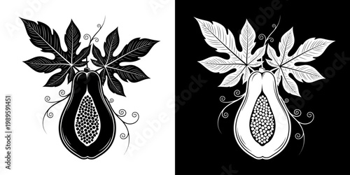Monochrome Papaya Art Complementary Black and White Stylized Fruit Illustration