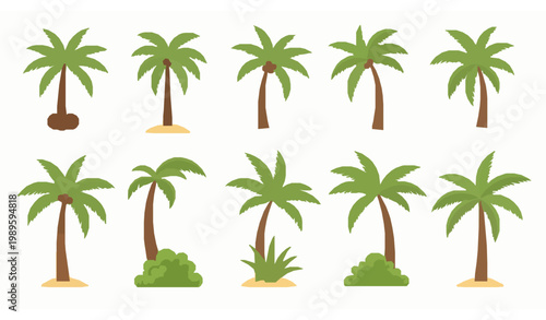 Tropical palm tree vector set with coconut palms and exotic island plants isolated on white background for summer design