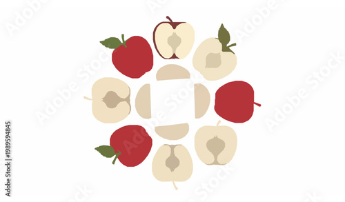Apple fruit CAD style vector collection in circular layout with whole slices and core views for food infographic design