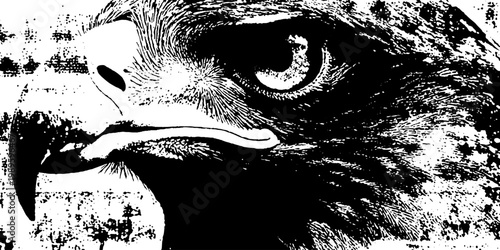 Eagle head angled with heavy halftone effect on white