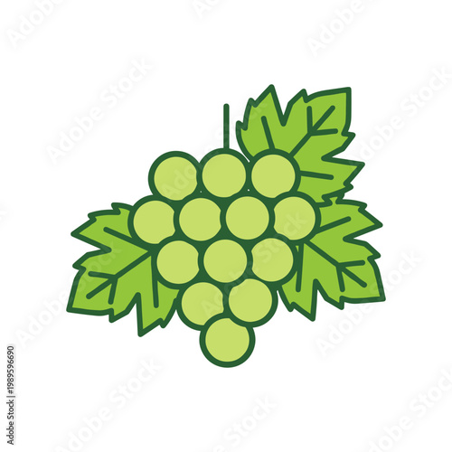 A fresh bunch of green grapes with leaves, ready for a healthy snack or wine production.