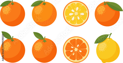 Vector Set of Fresh Oranges, Tangerines, and Lemons with Sliced Citrus Fruit Illustrations for Food, Juice, and Healthy Lifestyle Designs