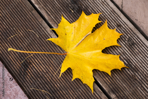 Foto A yellow leaf lies on a wooden surface during autumn