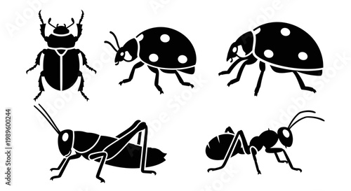Insect Silhouettes Collection: Beetle, Ladybug, Grasshopper, and Ant Icons