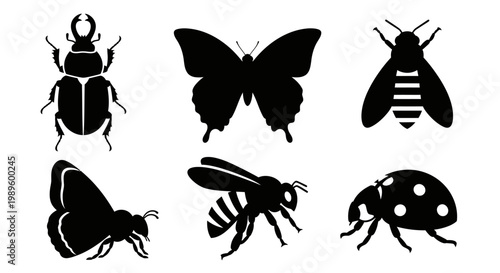 Insect Silhouettes Collection: Butterfly, Bee, Ladybug, and Beetle Icons Set
