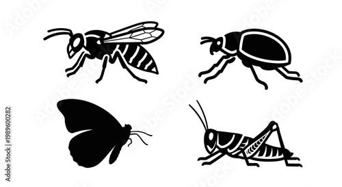 Insect Silhouettes Collection: Wasp, Beetle, Butterfly, and Grasshopper Vector Set