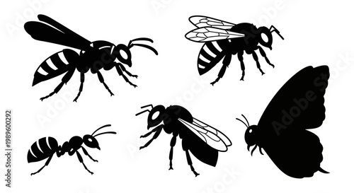 Insect Silhouettes Collection: Wasp, Ant, Bees, and Butterfly Vector Set