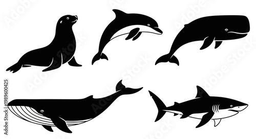 Marine Animals Silhouettes Collection: Whale, Dolphin, Seal, Shark. Ocean Wildlife Set