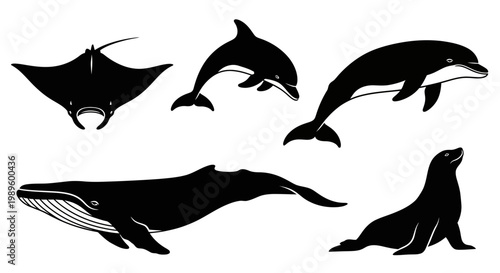 Marine Animals Silhouettes Set: Dolphin, Whale, Manta Ray, and Seal Ocean Wildlife