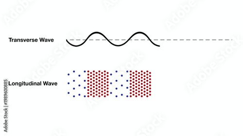 Transverse and Longitudinal Wave Diagram Animation Showing Compression, Rarefaction, and Air Molecule Motion for Physics Education