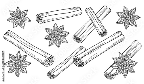Creative cinnamon and star anise outline vector set with detailed spice icons for cooking baking and natural food design