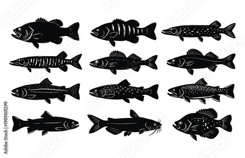 Freshwater fish silhouettes set including bass trout and catfish for outdoor fishing lifestyle